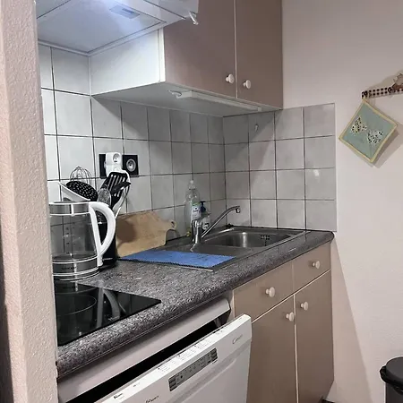 Apartman Centre Avec Parking Et Vue Montagne - Fr-1-812-8